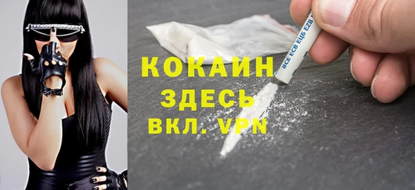 ECSTASY Богданович