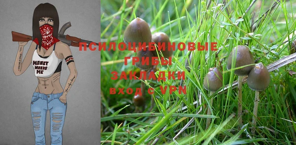 марки nbome Богородицк