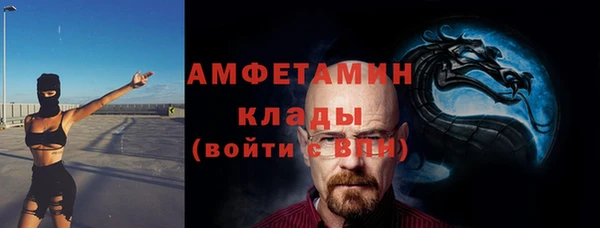 spice Богородск