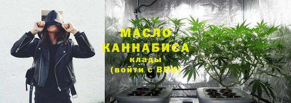 ECSTASY Богданович