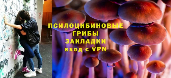 ECSTASY Богданович