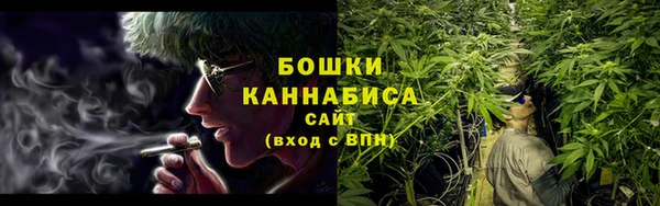 spice Богородск