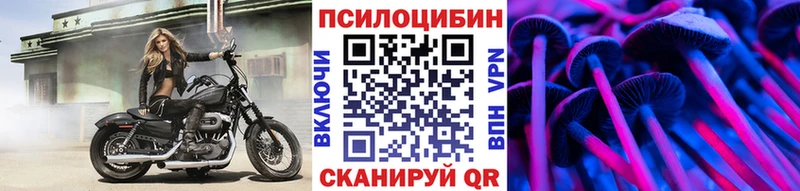 гидра ССЫЛКА  как найти наркотики  Междуреченск  Галлюциногенные грибы Psilocybine cubensis 